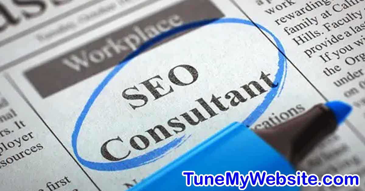seo specialist definition